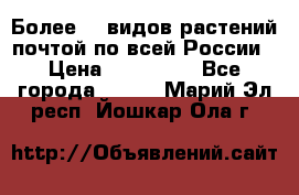 Более200 видов растений почтой по всей России › Цена ­ 100-500 - Все города  »    . Марий Эл респ.,Йошкар-Ола г.